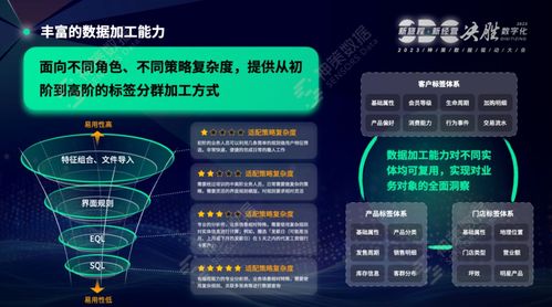 神策數(shù)據(jù)榮登Forrester 2024年Q1亞太區(qū)CDP格局報(bào)告，彰顯數(shù)據(jù)處理服務(wù)卓越實(shí)力