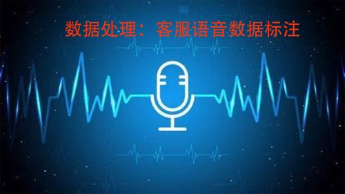 智能客服的基石 解析數(shù)據(jù)處理服務(wù)中的語(yǔ)音數(shù)據(jù)標(biāo)注