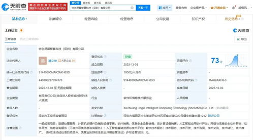 協(xié)創(chuàng)數(shù)據(jù)深圳成立靈犀智算公司，深化布局?jǐn)?shù)據(jù)處理服務(wù)新藍(lán)海